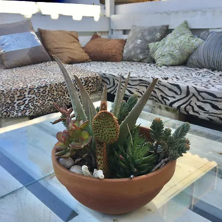 Casa El Rincon De La Geltru Holiday home *
